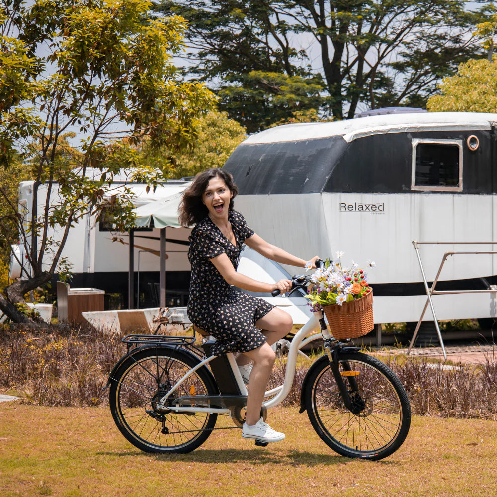 Nextvoltride City Flow